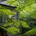 屋外の景色