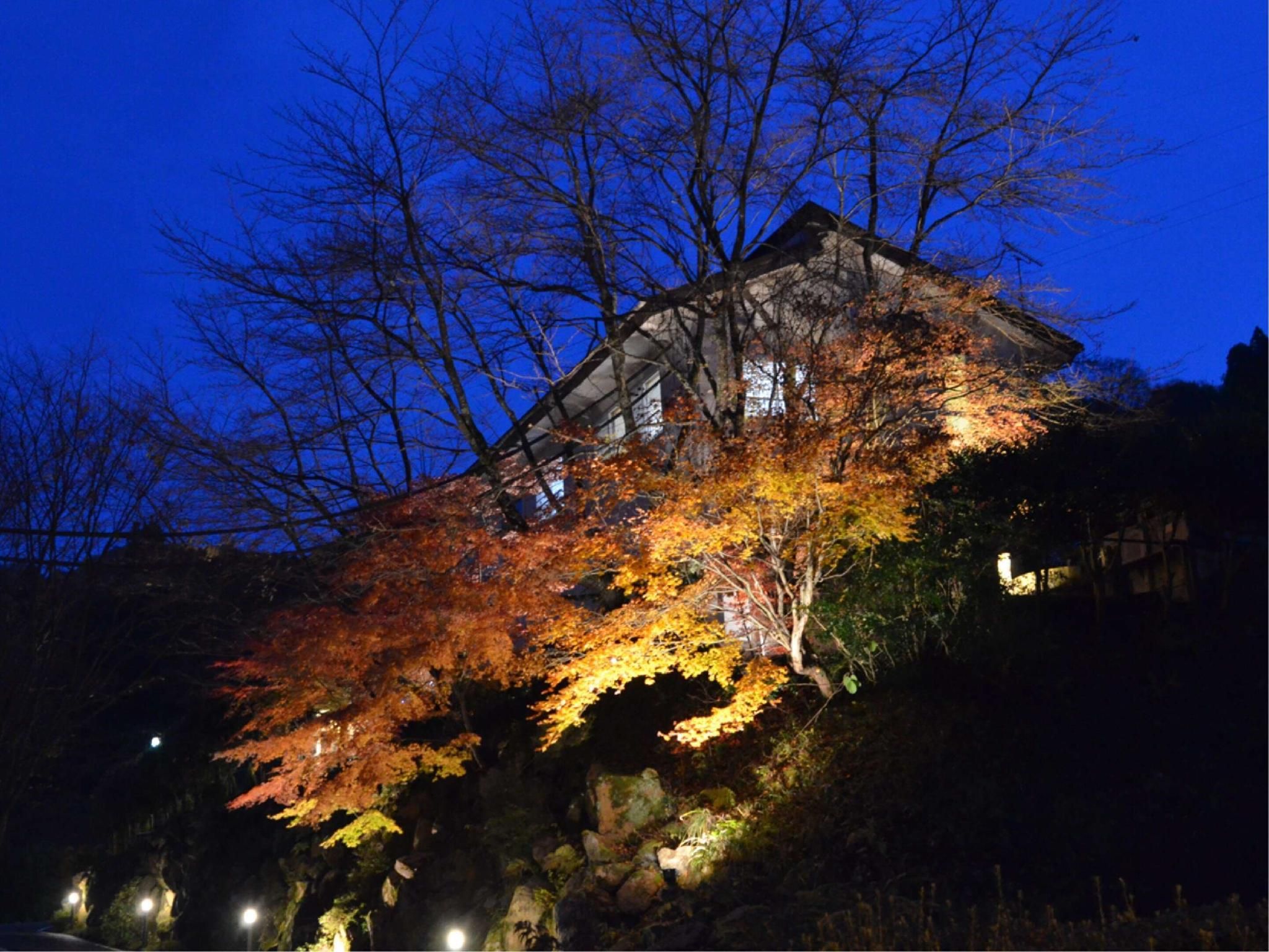 屋外の景色