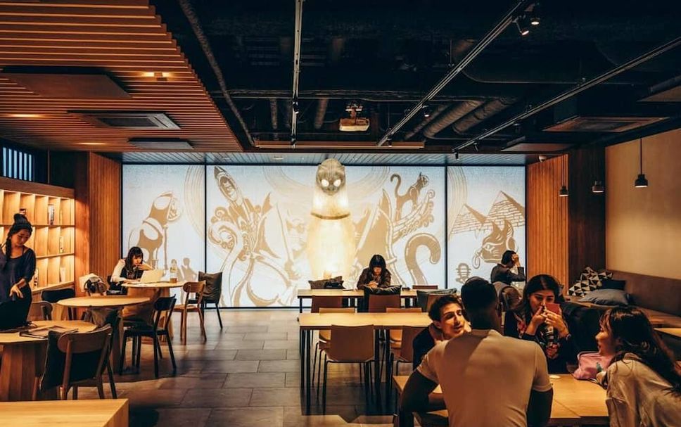 レストラン 写真