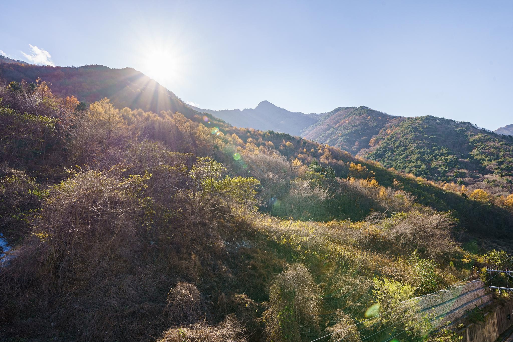 屋外の景色