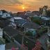 屋外の景色