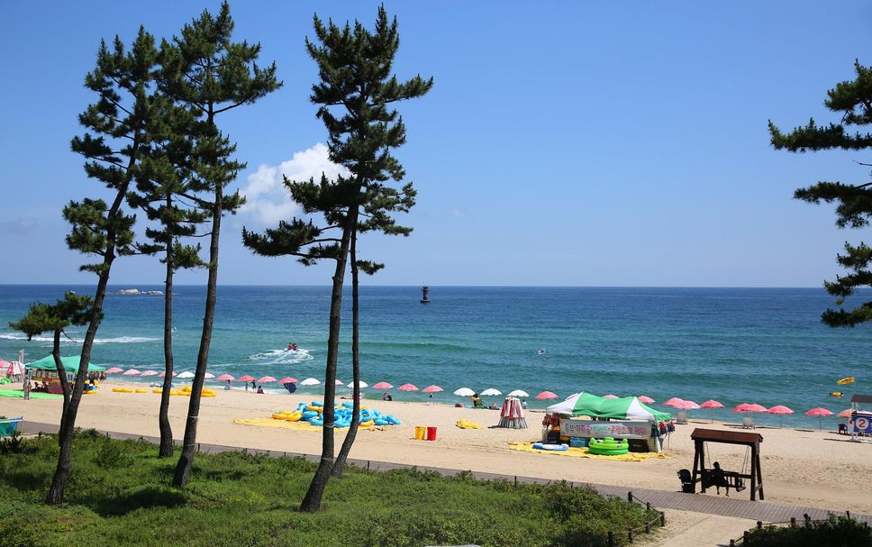 ビーチ 写真