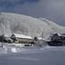 屋外の景色