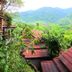 屋外の景色