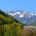 屋外の景色
