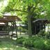 屋外の景色