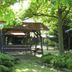 屋外の景色