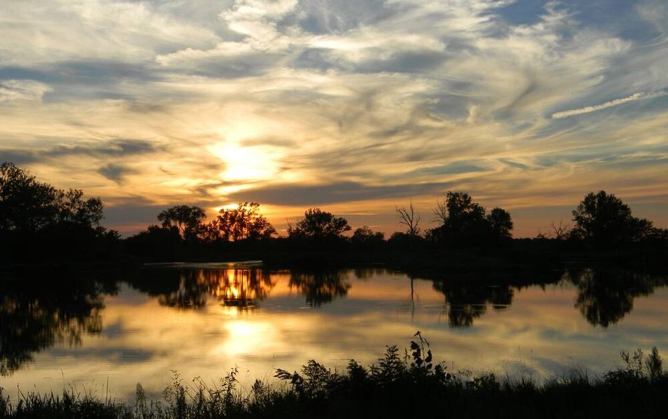 リビングルーム 写真