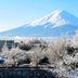 屋外の景色