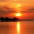 屋外の景色