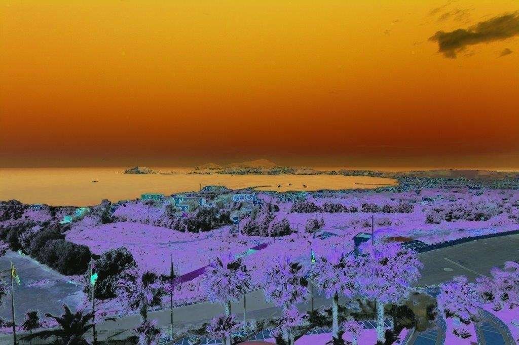 屋外の景色