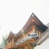 屋外の景色