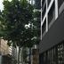 屋外の景色