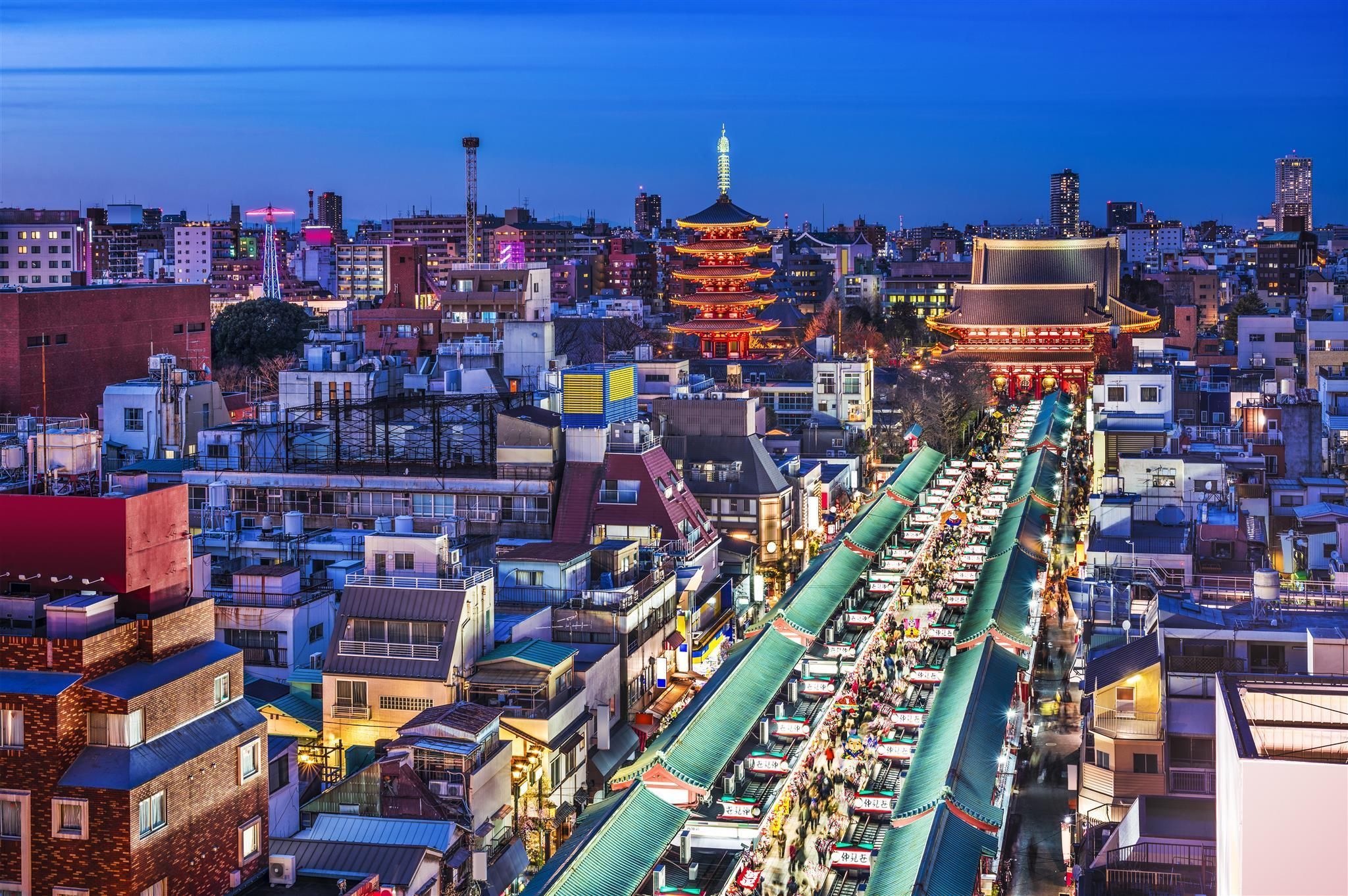 屋外の景色