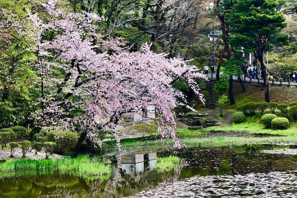 屋外の景色