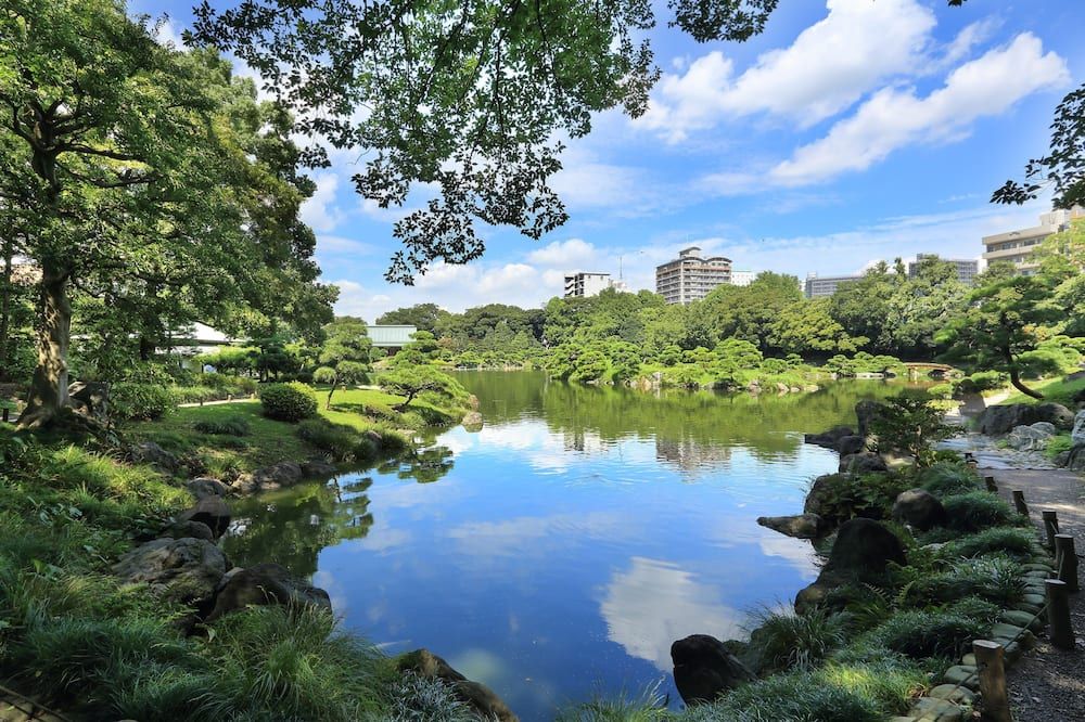 屋外の景色