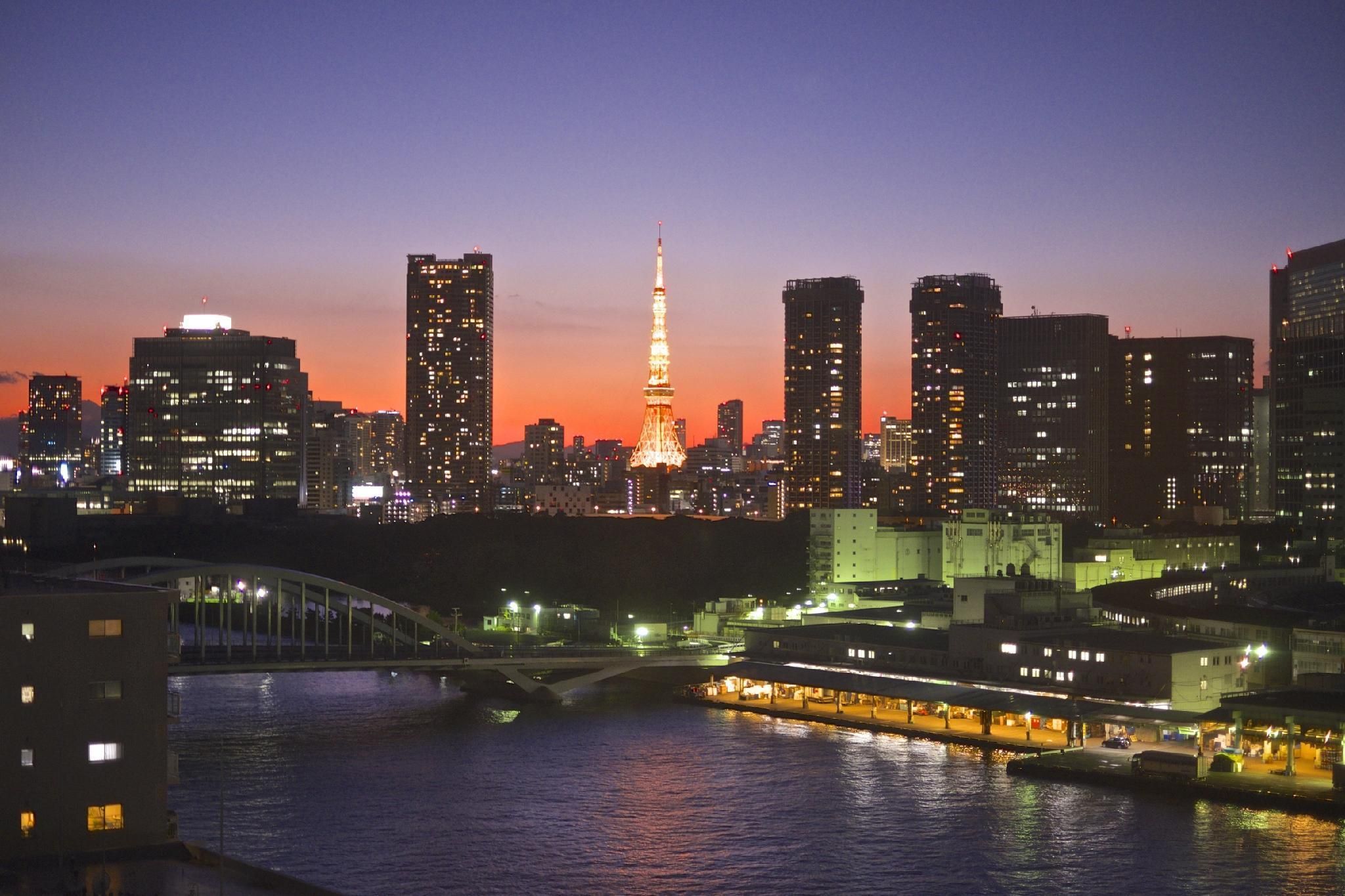 屋外の景色