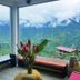 屋外の景色