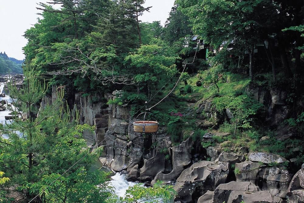 屋外の景色