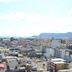屋外の景色