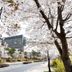 屋外の景色