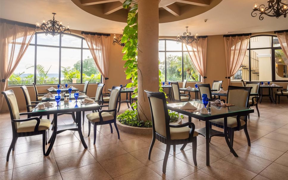 レストラン 写真