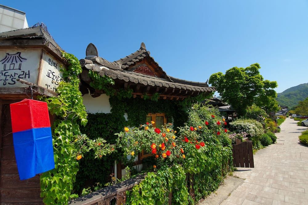 屋外の景色