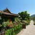 屋外の景色