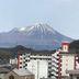 屋外の景色