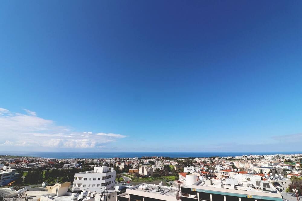 屋外の景色