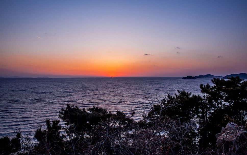 屋外の景色 写真