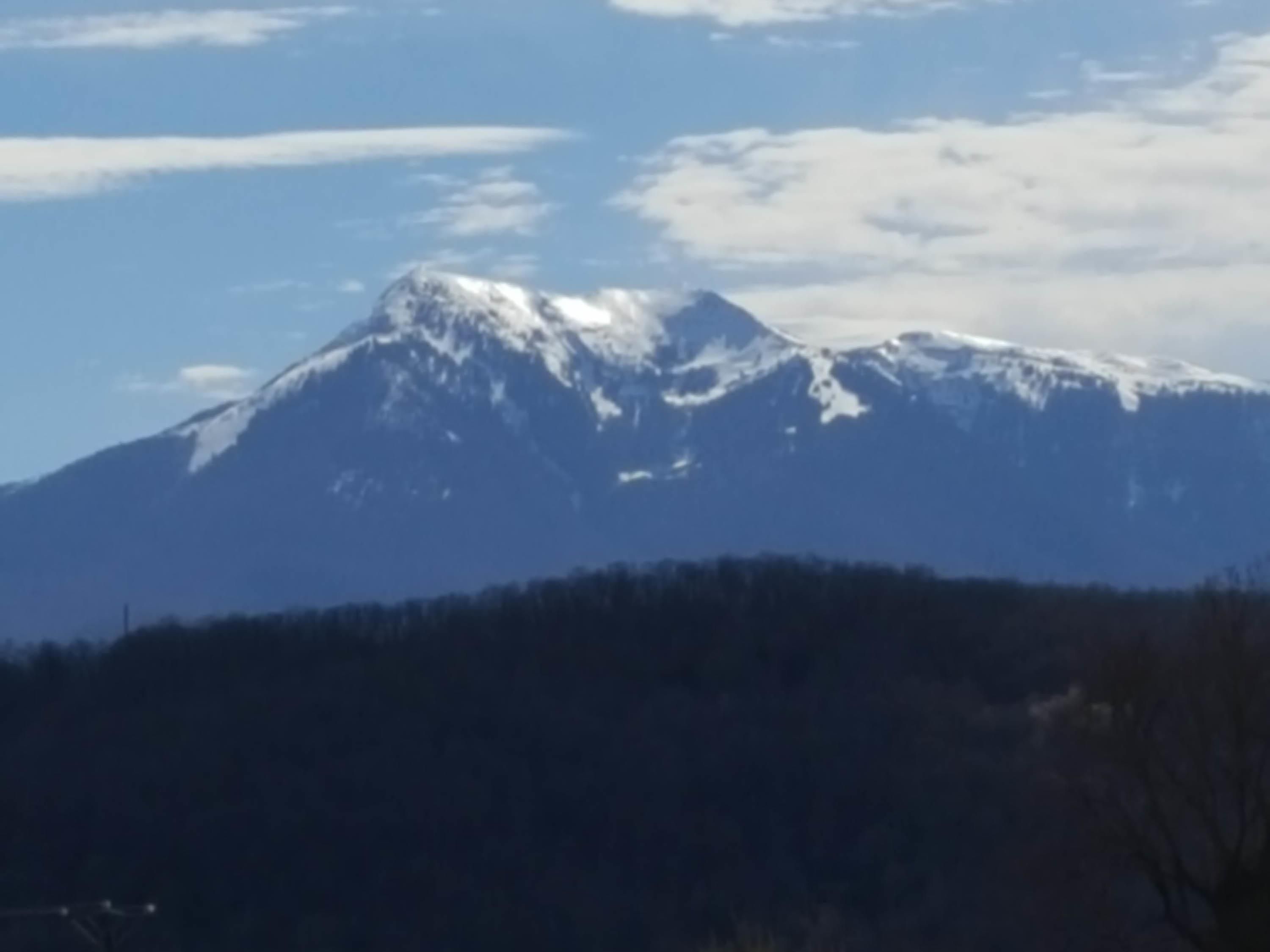 屋外の景色