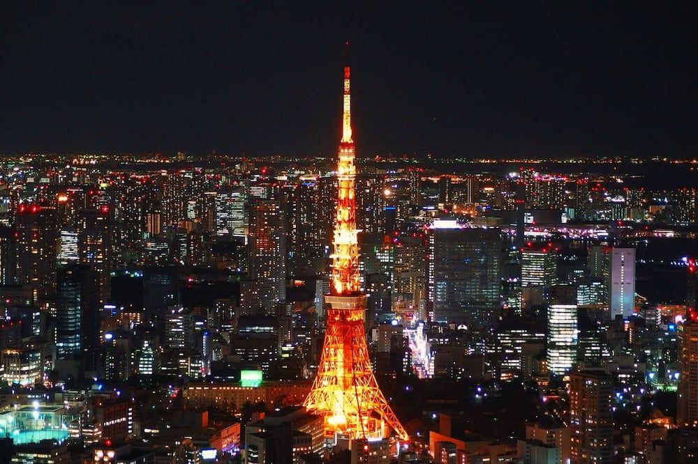 屋外の景色