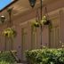 屋外の景色