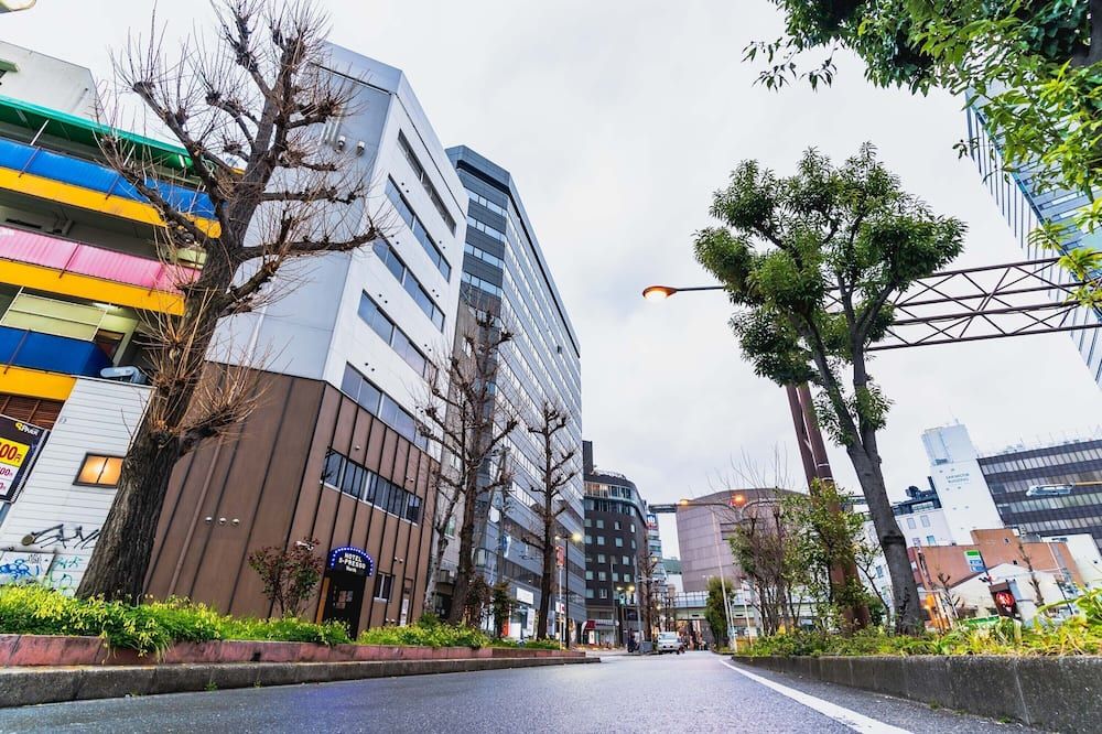 屋外の景色