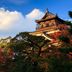屋外の景色