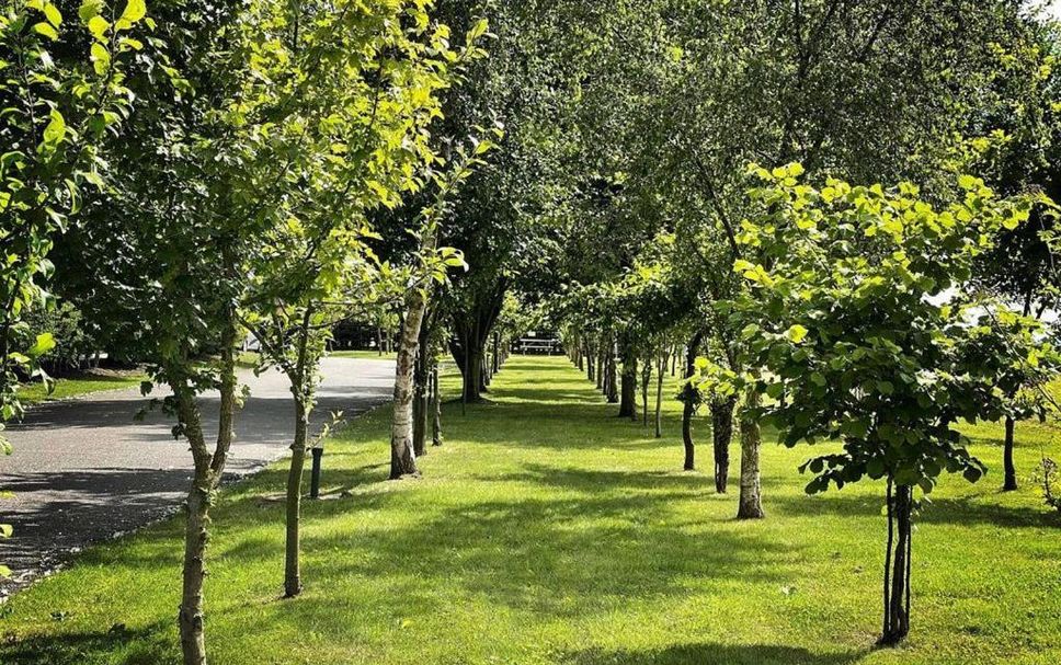 屋外の景色 写真