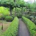 屋外の景色