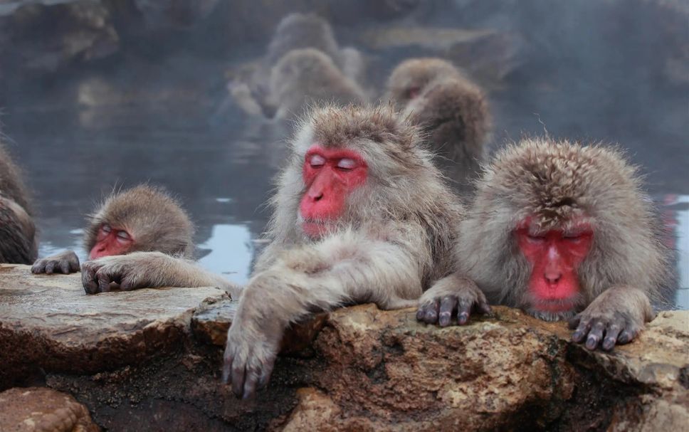その他 写真