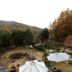 屋外の景色