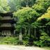 屋外の景色