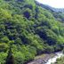 屋外の景色