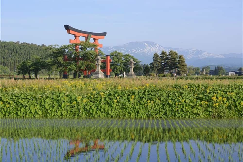 屋外の景色