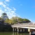 屋外の景色