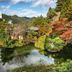 屋外の景色