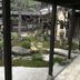 屋外の景色