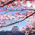屋外の景色