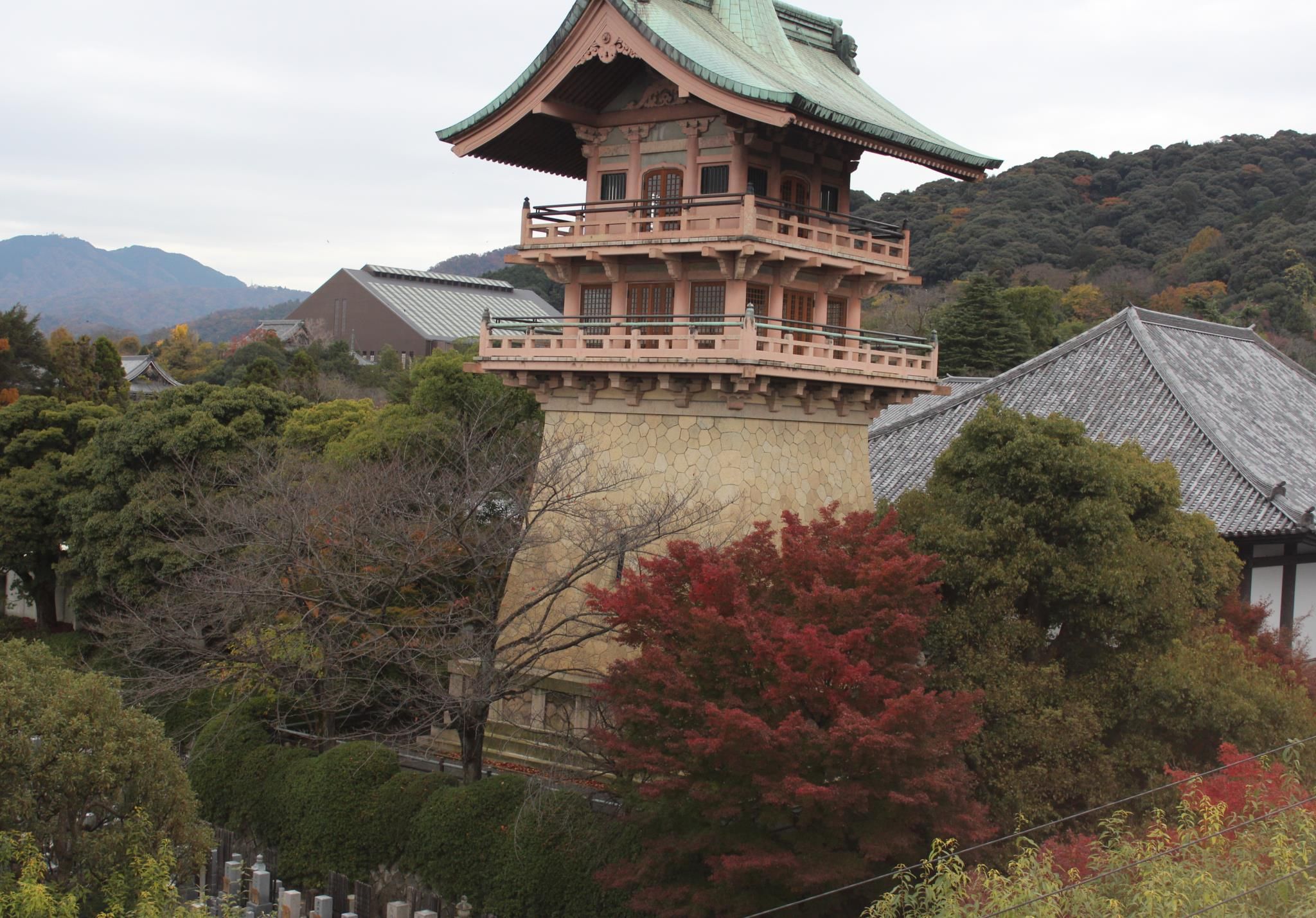 屋外の景色