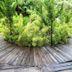 屋外の景色