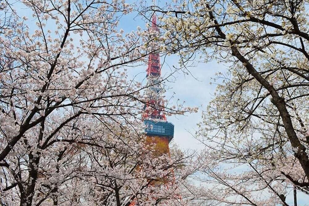 屋外の景色